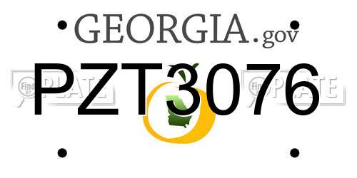 PZT3076 Georgia License Plate