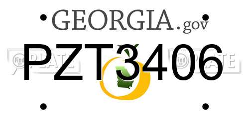 PZT3406 Georgia License Plate