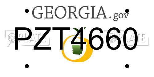 PZT4660 Georgia License Plate