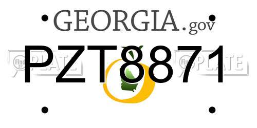 PZT8871 Georgia License Plate