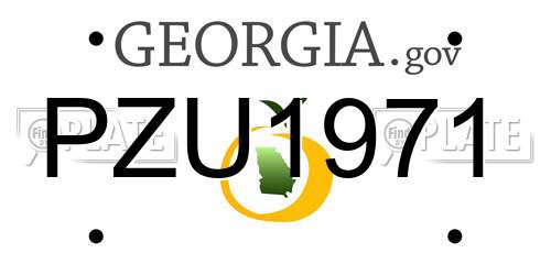 PZU1971 Georgia License Plate