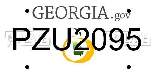 PZU2095 Georgia License Plate