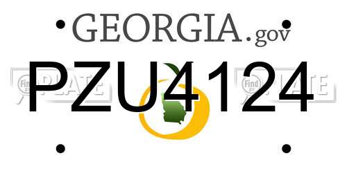 PZU4124 Georgia License Plate