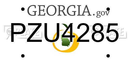 PZU4285 Georgia License Plate