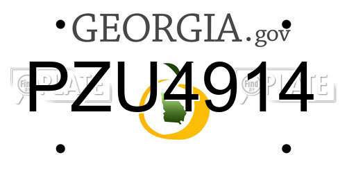 PZU4914 Georgia License Plate