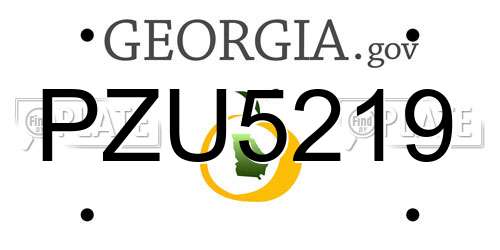 PZU5219 Georgia License Plate