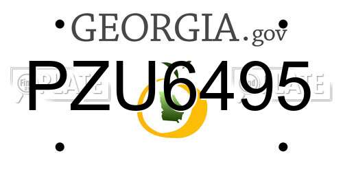 PZU6495 Georgia License Plate