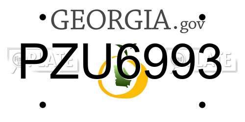 PZU6993 Georgia License Plate