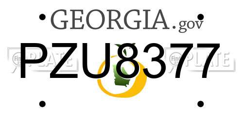 PZU8377 Georgia License Plate