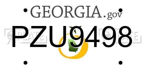 PZU9498 Georgia License Plate