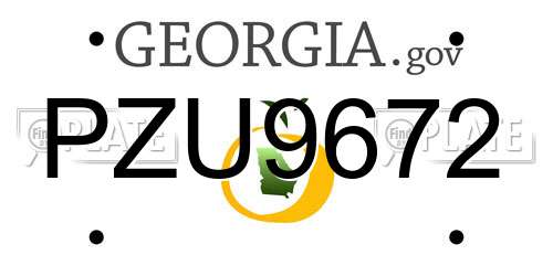 PZU9672 Georgia License Plate