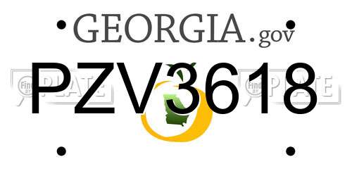 PZV3618 Georgia License Plate