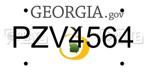 PZV4564 Georgia License Plate
