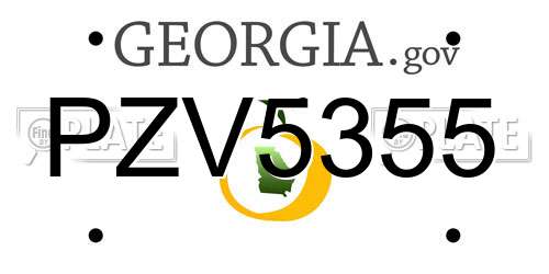 PZV5355 Georgia License Plate