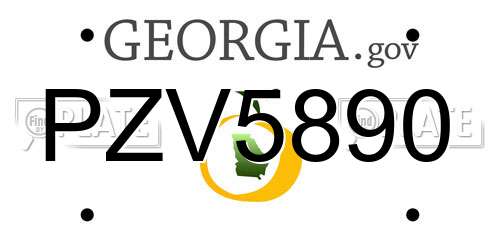 PZV5890 Georgia License Plate