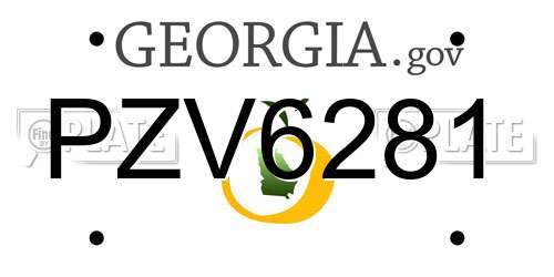 PZV6281 Georgia License Plate