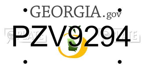 PZV9294 Georgia License Plate