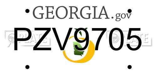 PZV9705 Georgia License Plate