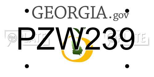 PZW239 Georgia License Plate