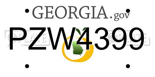 PZW4399 Georgia License Plate