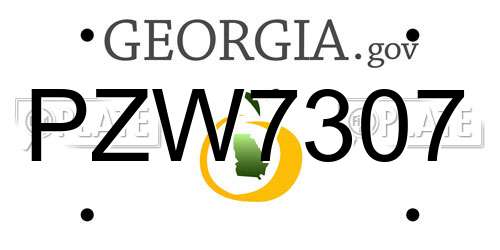 PZW7307 Georgia License Plate