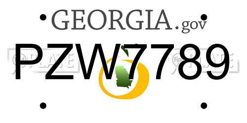 PZW7789 Georgia License Plate