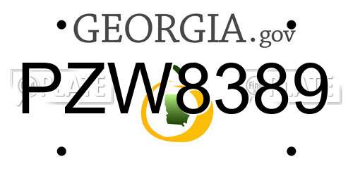 PZW8389 Georgia License Plate