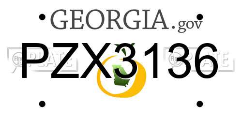 PZX3136 Georgia License Plate