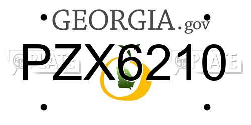 PZX6210 Georgia License Plate