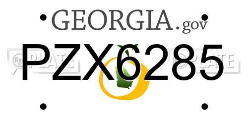PZX6285 Georgia License Plate