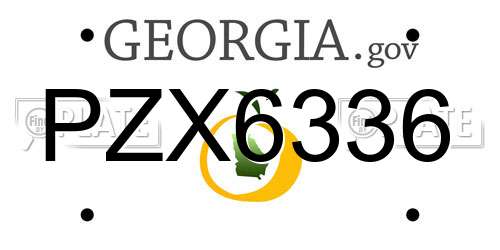 PZX6336 Georgia License Plate