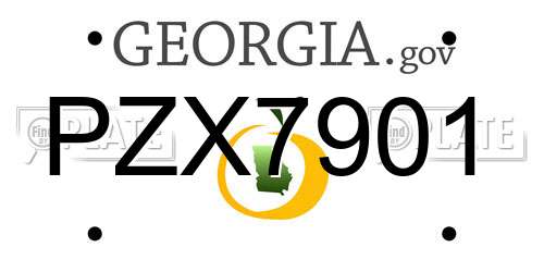PZX7901 Georgia License Plate
