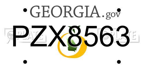 PZX8563 Georgia License Plate