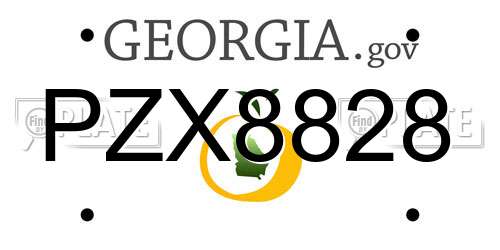 PZX8828 Georgia License Plate