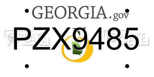 PZX9485 Georgia License Plate