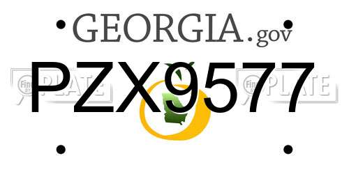 PZX9577 Georgia License Plate