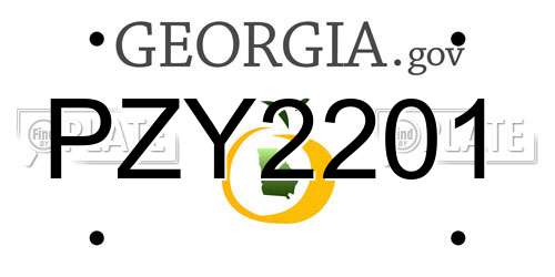 PZY2201 Georgia License Plate
