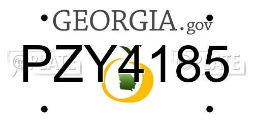 PZY4185 Georgia License Plate