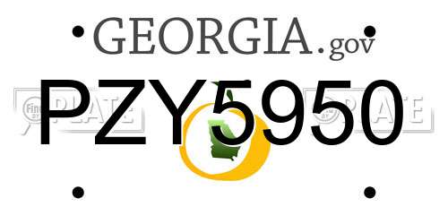 PZY5950 Georgia License Plate