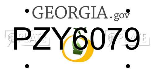 PZY6079 Georgia License Plate