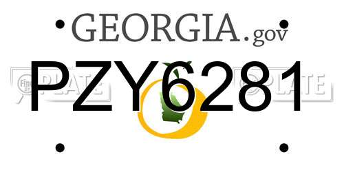 PZY6281 Georgia License Plate