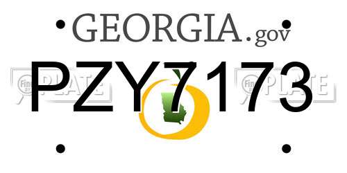 PZY7173 Georgia License Plate