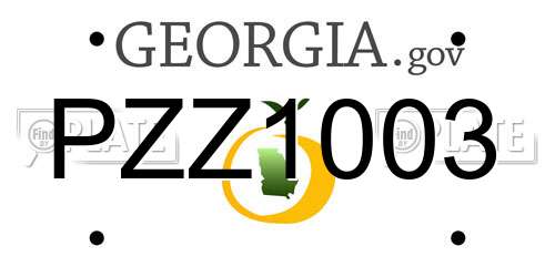 PZZ1003 Georgia License Plate