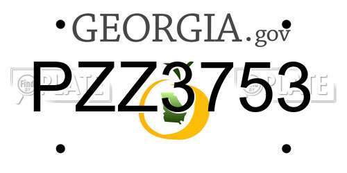 PZZ3753 Georgia License Plate