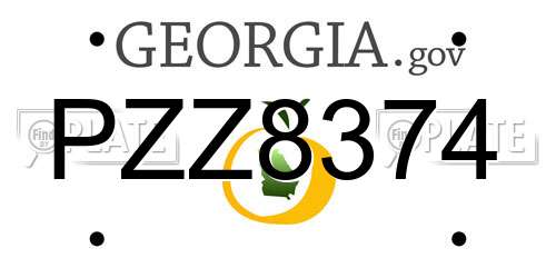 PZZ8374 Georgia License Plate