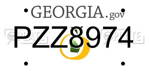 PZZ8974 Georgia License Plate
