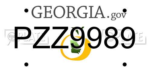 PZZ9989 Georgia License Plate
