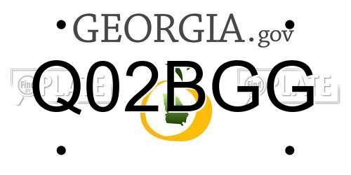Q02BGG Georgia License Plate