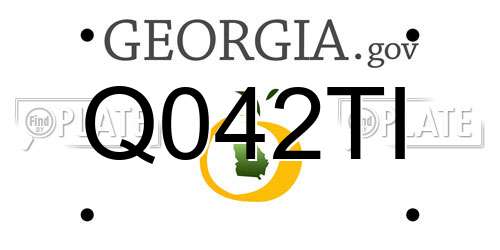 Q042TI Georgia License Plate