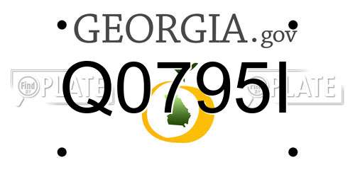 Q0795I Georgia License Plate